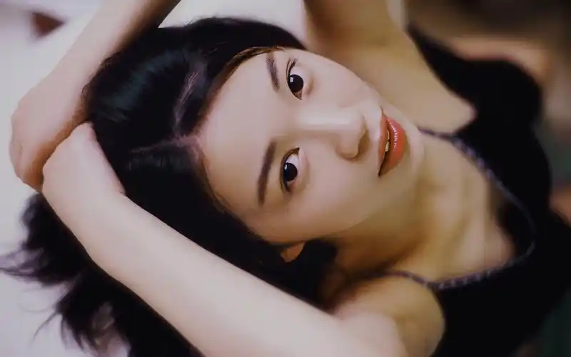 雾港档案